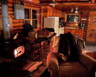 Bluegill Lake front, Up North, cozy peaceful getaway. 2-bedroom cabin. Rustic. - Harrison - Living room