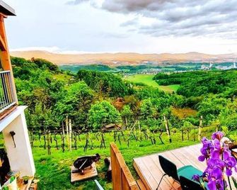 Vineyard Cottage Vercek - Rudolfswerth