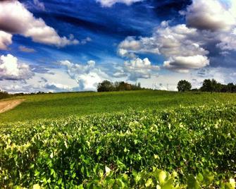 Fattoria Santa Vittoria Apartment - Foiano della Chiana - Outdoor view