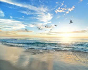 Grand Beach Resort Hotel - Traverse City - Strand
