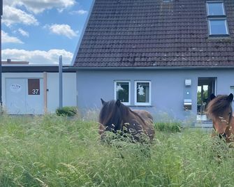 Altes Zoellnerhaus 37 - Gangelt