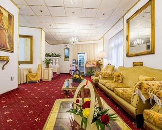 Hotel Carpati Imparatul Romanilor - Bucarest - Soggiorno