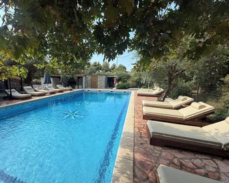 Makis House - Nikiti - Zwembad