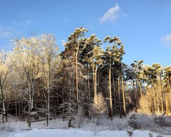 Lieblingsinsel - Graal-Müritz - Outdoor view