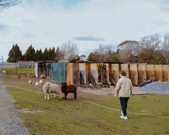 Longford Tiny Houses by Tiny Away - Longford - Vista esterna
