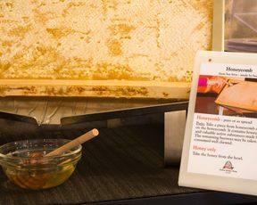 Best Western Plus Chc Florence