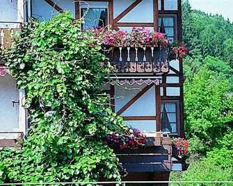 Hotel Hirsch - Bad Peterstal-Griesbach