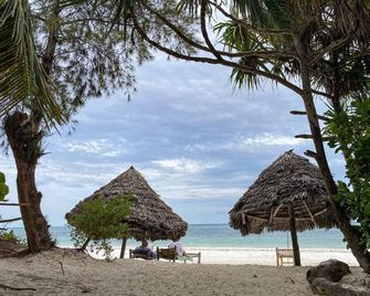 Bellevue Guesthouse - Bwejuu - Plage