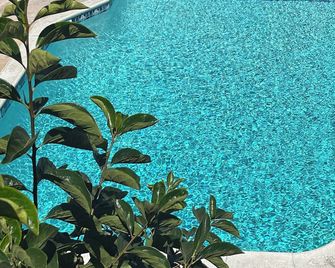 Huntington Suites - Huntington Beach - Басейн