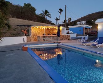 Private Home, A/C, Large Private Heated Pool, Ocean View, Outdoor Bar & Patio - Christiansted - Pool