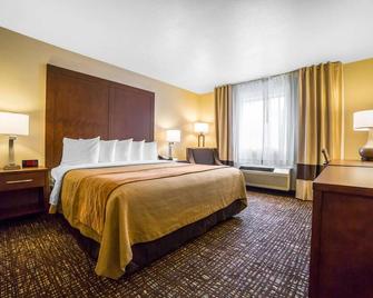 Comfort Inn and Suites Orem - Provo - Orem - Bedroom