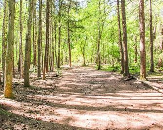 Holidaypark Duinhoeve - Udenhout - Venkovní prostory