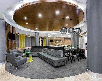 SpringHill Suites by Marriott San Antonio SeaWorld/Lackland - San Antonio - Lounge
