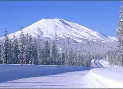 Tall Pines Guest House between Sunriver and La Pine (Pet friendly) A-frame Cabin - La Pine - Annehmlichkeit