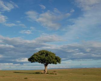 Mara Intrepids Tented Camp - Talek - Beach