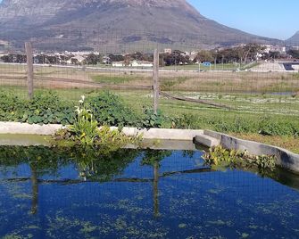 Lighthouse Farm Backpackers Lodge - Cape Town