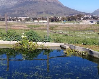 Lighthouse Farm Backpackers Lodge - קייפ טאון