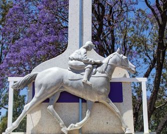 Rivergums Caravan Park - Goondiwindi