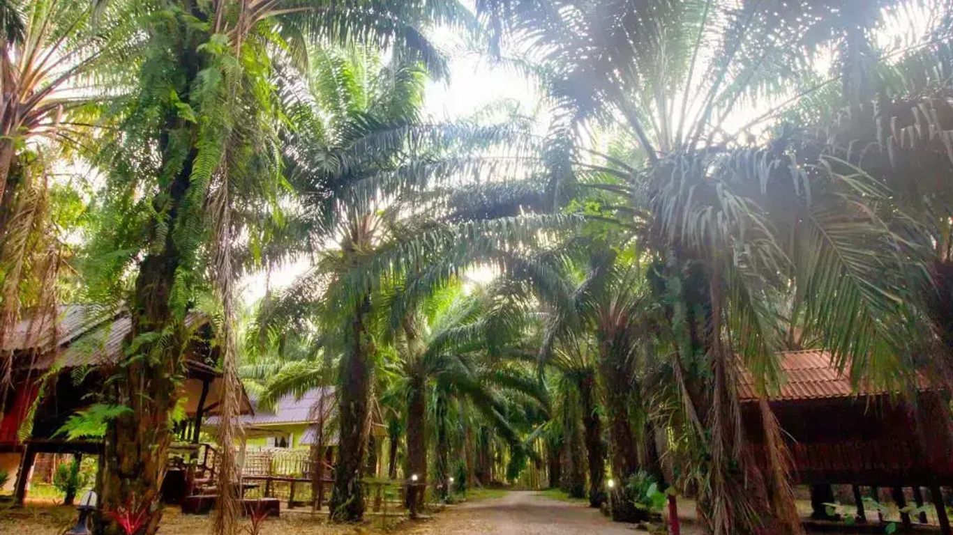 Khao Sok Palmview Resort