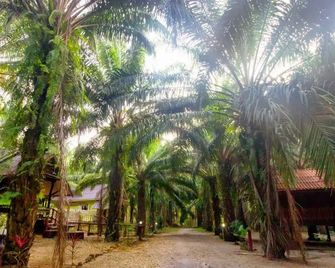 Khao Sok Palmview Resort - Khlong Sok - Utomhus