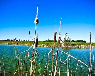Golf Hotel Lisia Polana - Pomiechówek - Outdoors view