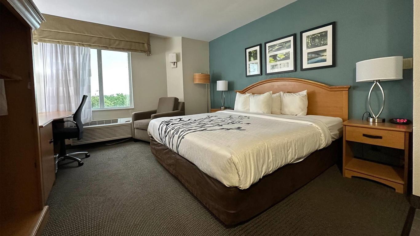 سليب إن سلايديل