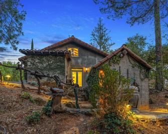 European-inspired Chateau on Howell Mountain - Angwin - Building