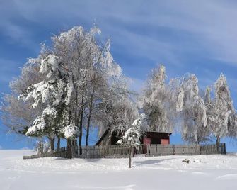 Hotel Zum Schneekopf Garni - Oberhof