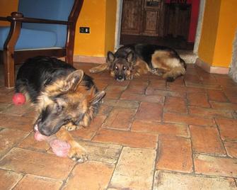 B&B Melizio - San Maurizio d'Opaglio