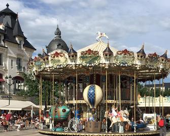 Châtel Rose - Historical Centre - Blois - Building