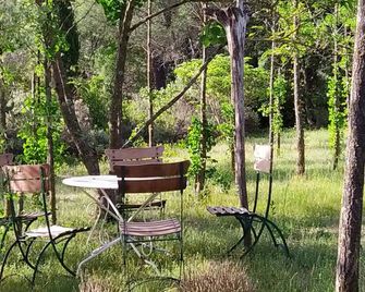 Double Mâs, peaceful, sleeps 16 (20) - Carsan - Binnenhof