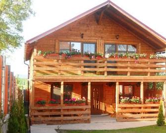 Casa Gherman - Turda - Building