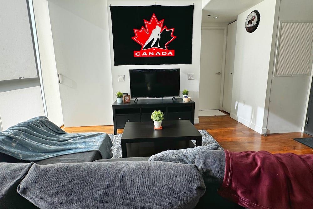 Cozy 1 Bedroom Apt In Heart Of Downtown Winnipeg - Winnipeg - Living room