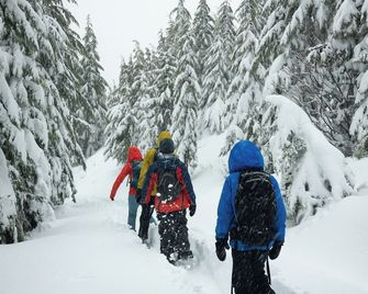 Lapland Winter Park Chalets - Rovaniemi