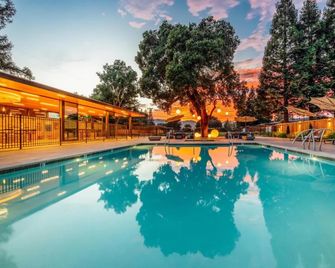 The Ruse - Healdsburg - Piscina
