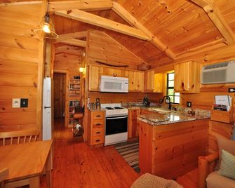 Secluded Cabin w/ Hot Tub & Fire Pit - Hot Springs - Cocina