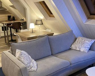 Joli 2 pièces, climatisé avec terrasse, vue sur les toits, en zone piétonne - Haguenau - Salon