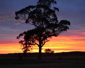 Rooks Edge B&B - Room 3 -Stunning views-romantic getaway - Gisborne - Outdoors view