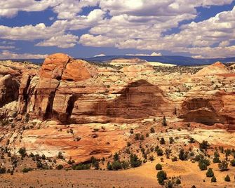 Best location in Kanab! - Kanab - Gebouw