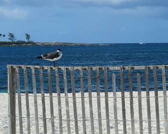 Bougainvillea Inn - Nassau - Plaża