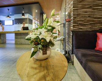 ibis Avignon Centre Pont de l'Europe - אביניון - דלפק קבלה