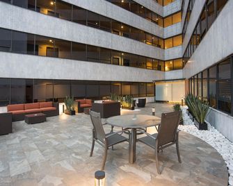 هوتل برازيليا - مكسيكو ستي - شرفة مرصوفة