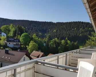 Hotel Pension Jägerstieg - Bad Grund - Balcony