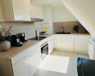 Sunny Loft Basel Airport Art Basel - Saint-Louis - Cocina