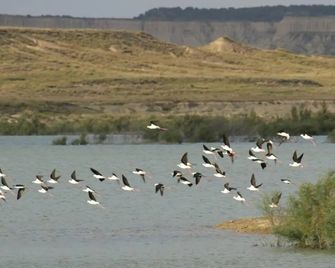 El Trujal de Las Bardenas - Cabanillas