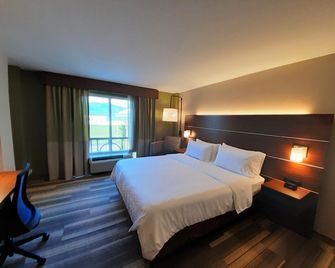Holiday Inn Express & Suites Trincity Trinidad Airport By IHG - Piarco - Slaapkamer