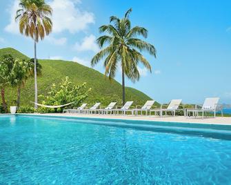 Mount Nevis Hotel - Newcastle - Piscina