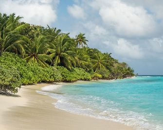Athiriveli - Thoddoo - Beach