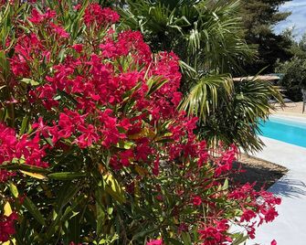 NATUR LODGE, bungalows and individual pool, natural site, exceptional view - Le Pouzin - Piscina