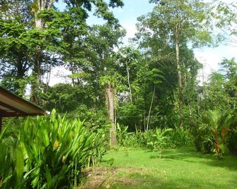 Los Delfines Lodge - Cocles - Vista del exterior